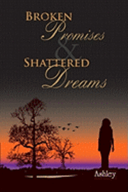 bokomslag Broken Promises and Shattered Dreams