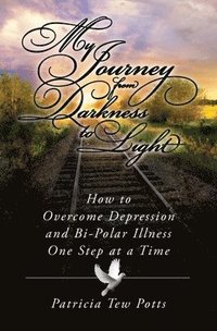 bokomslag My Journey From Darkness to Light: How to Overcome Depression and Bipolar Illness One Step at A Time