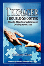 bokomslag Teenager Trouble-Shooting: : How to Stop Your Adolescent Driving You Crazy