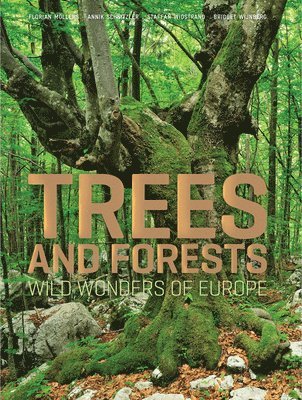 bokomslag Trees and Forests: Wild Wonders of Europe