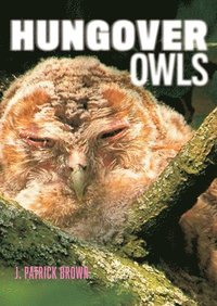 bokomslag Hungover Owls