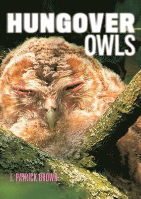 Hungover Owls 1