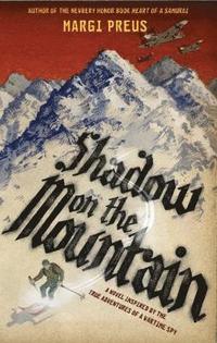 bokomslag Shadow on the Mountain
