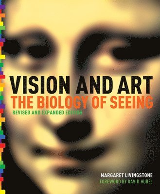 bokomslag Vision and Art (Updated and Expanded Edition)