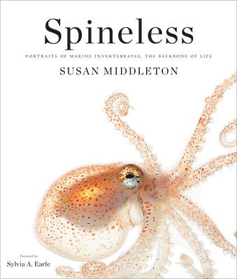 Susan Middleton - Middleton, S: Spineless, Inbunden