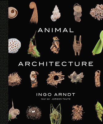 Ingo Arndt - Animal Architecture, Inbunden