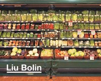 bokomslag Liu Bolin