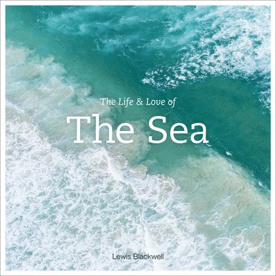 The Life and Love of the Sea 1