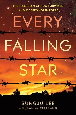 Every Falling Star 1