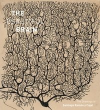 bokomslag Beautiful brain: the drawings of ramon y cajal - the drawings of ramon y ca
