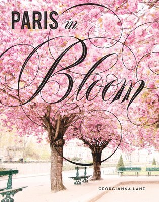 bokomslag Paris in Bloom
