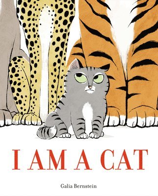 Galia Bernstein - I Am a Cat, Inbunden