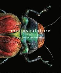 bokomslag Microsculpture