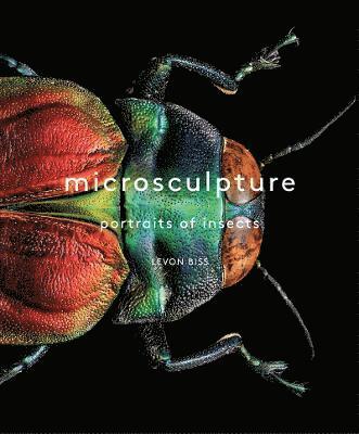 Microsculpture 1