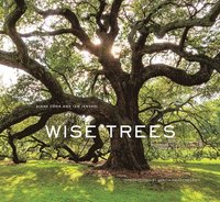 bokomslag Wise Trees