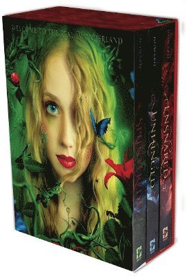 Splintered Box Set 1