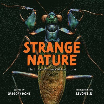 Strange Nature: The Insect Portraits of Levon Biss