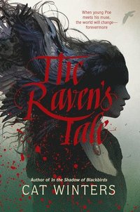bokomslag The Raven's Tale
