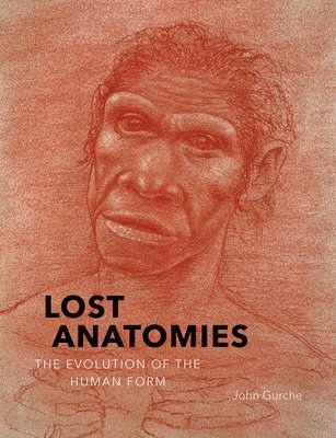 bokomslag Lost Anatomies