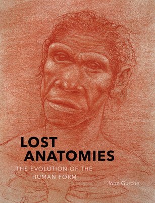 Lost Anatomies 1
