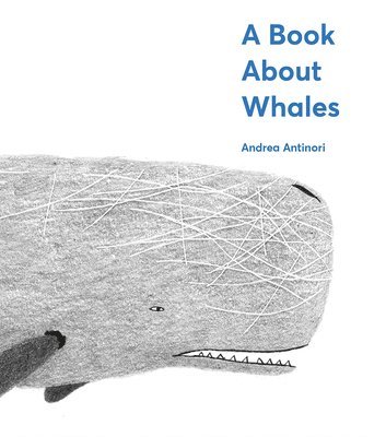 Andrea Antinori - Book About Whales, Inbunden