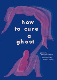 bokomslag How to Cure a Ghost