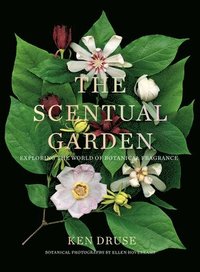 bokomslag The Scentual Garden: Exploring the World of Botanical Fragrance