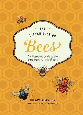 bokomslag The Little Book of Bees: An Illustrated Guide to the Extraordinary Lives of Bees