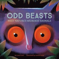 bokomslag Odd Beasts