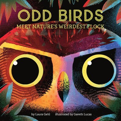 Laura Gehl - Odd Birds: Meet Nature's Weirdest Flock, Kartonnage