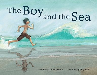 bokomslag Boy and the Sea