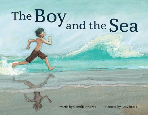 Camille Andros, Amy Andros, Camille, June, Amy June Bates - Boy and the Sea, Inbunden