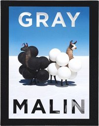 bokomslag Gray Malin