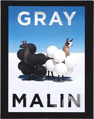 Gray Malin 1