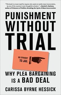 bokomslag Punishment Without Trial