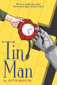 bokomslag Tin Man
