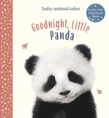 Goodnight, Little Panda: A Picture Book
