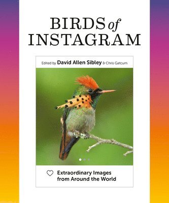David Allen Sibley - Birds of Instagram: Extraordinary Images from Around the World, Inbunden