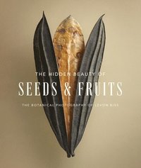 bokomslag The Hidden Beauty of Seeds & Fruits: The Botanical Photography of Levon Biss