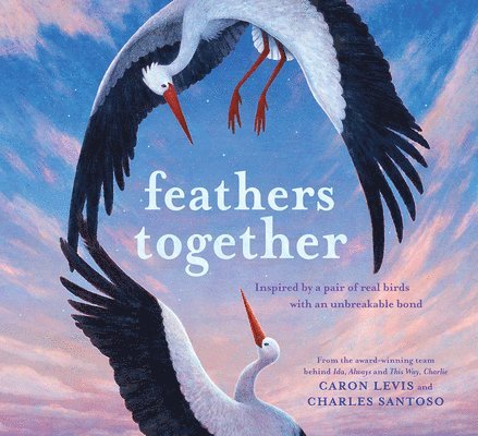 Feathers Together 1