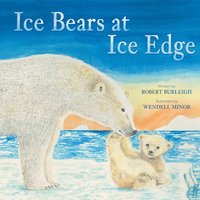 bokomslag Ice Bears at Ice Edge