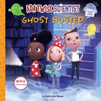 bokomslag Ada Twist, Scientist: Ghost Busted