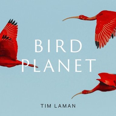 bokomslag Bird Planet