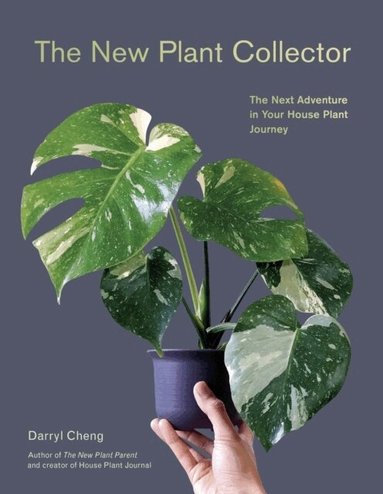 Darryl Cheng - New Plant Collector, Häftad