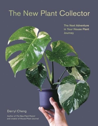 bokomslag The New Plant Collector