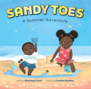 bokomslag Sandy Toes: A Summer Adventure (A Let's Play Outside! Book)