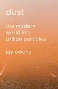 bokomslag Dust: The Modern World in a Trillion Particles