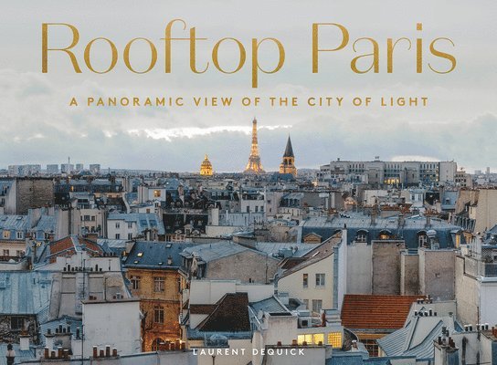 Rooftop Paris 1