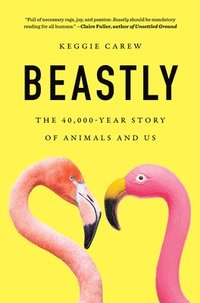 bokomslag Beastly: The 40,000-Year Story of Animals and Us