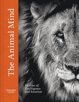 Marianne Taylor - Animal Mind, Inbunden